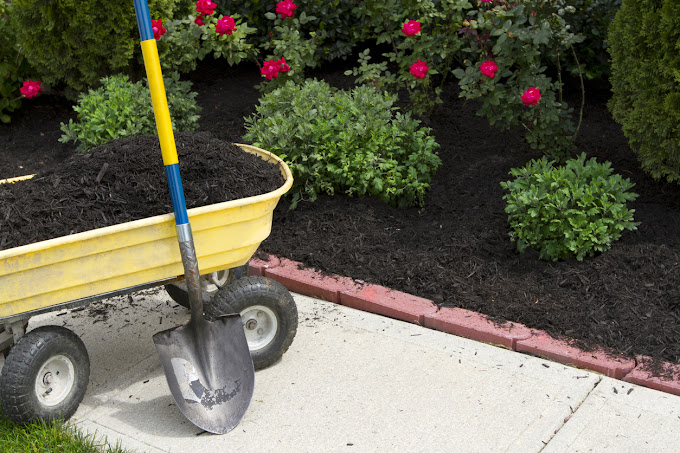 Same-day Yardscapes