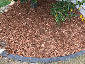 Garden edging