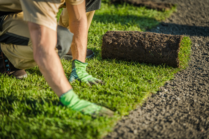 Sod installation