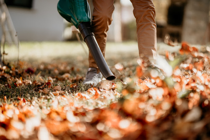 Yard cleanup